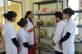 Premier Healthcare Services